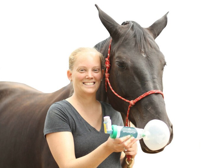 AeroHippus komora aerozolowa dla koni