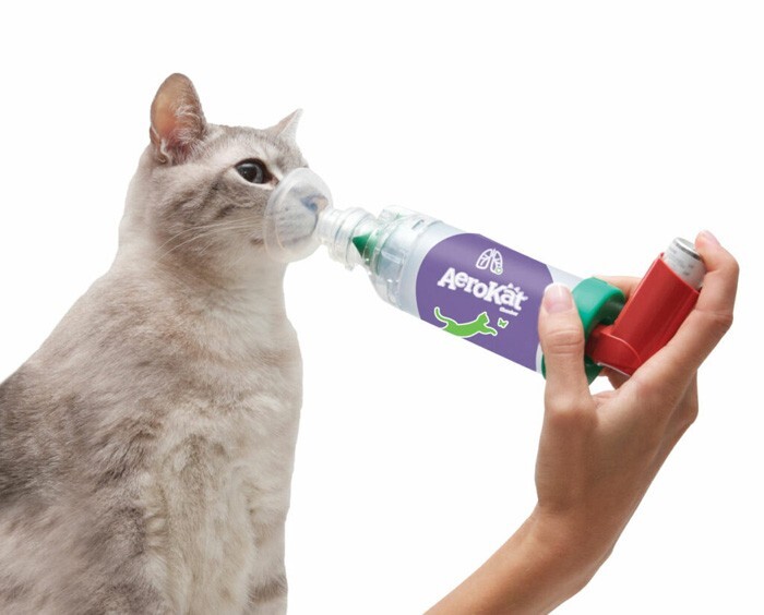 AeroKat komora aerozolowa dla kotów