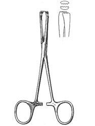 Kleszczyki chirurgiczne ALLIS - 15cm