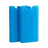 Wkład chłodzący / mrożący do lodówki turystycznej 2x250g
